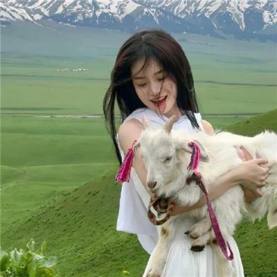 马丁之歌